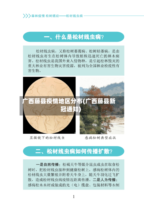 广西藤县疫情地区分布(广西藤县新冠通知)