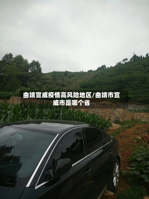 曲靖宣威疫情高风险地区/曲靖市宣威市是哪个省