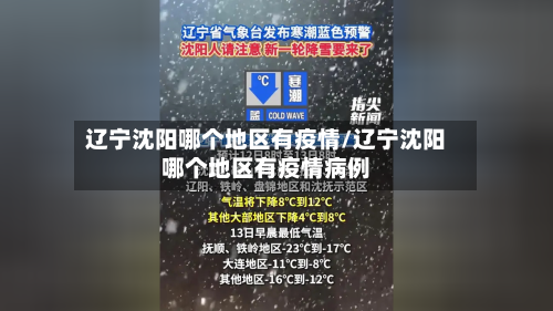 辽宁沈阳哪个地区有疫情/辽宁沈阳哪个地区有疫情病例