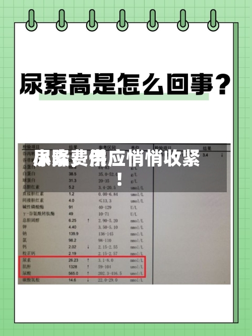 尿素费用
小降,供应悄悄收紧!