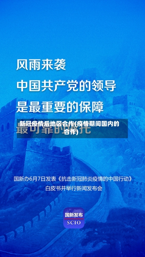 新冠疫情后地区合作(疫情期间国内的合作)